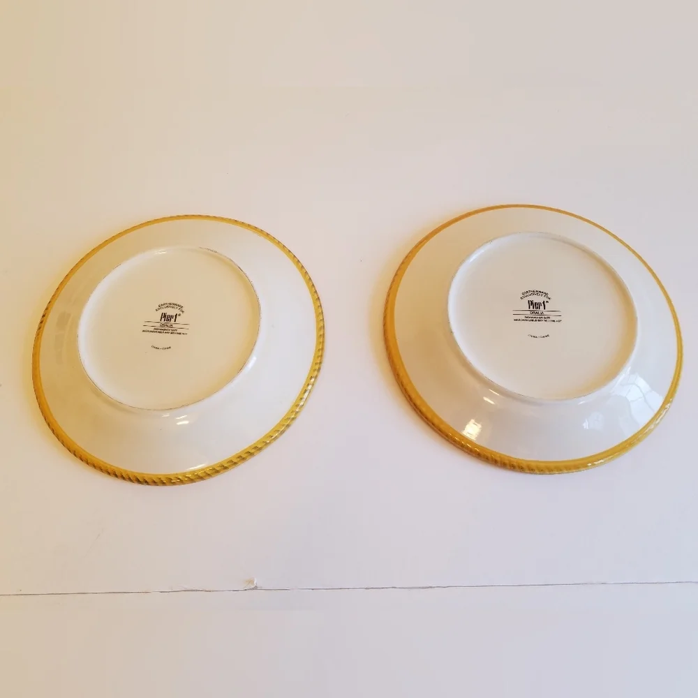 Pier 1 Set of 2 Oralia Earthenware Salad Plates Floral 8